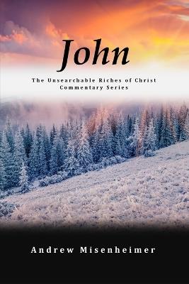 John: The Unsearchable Riches of Christ Commentary Series - Andrew J Misenheimer - cover