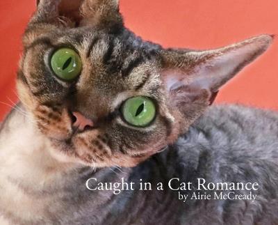 Caught in a Cat Romance - Airie McCready - cover