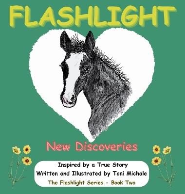 Flashlight - New Discoveries: Flashlight - Toni Michale - cover