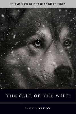 The Call of the Wild - Jack London - cover