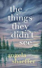 The Things They Didn’t See: A Novel