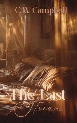 The Last Stream - CM Campbell - cover
