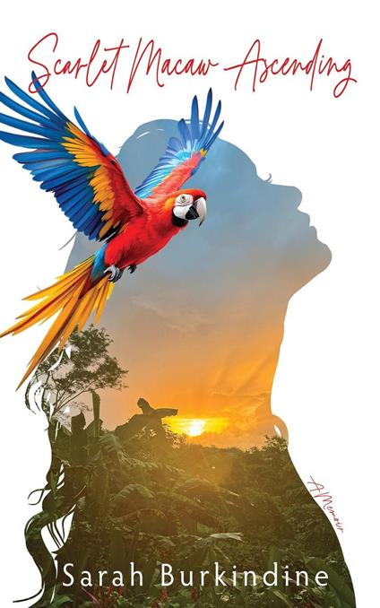 Scarlet Macaw Ascending