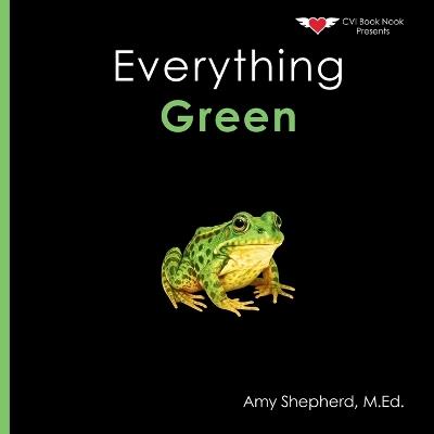 Everything Green: A joyful real-image concept book designed for every learner - M Ed Amy Shepherd - cover