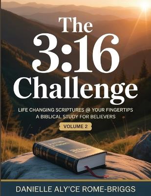 The 3: 16 Challenge: Life Changing Scriptures @ Your Fingertips - Danielle Aly'ce Rome-Briggs - cover