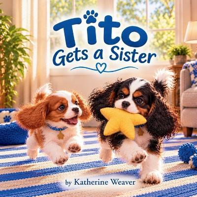 Tito Gets a Sister - Katherine Weaver - cover