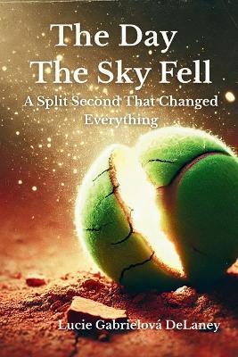 The Day The Sky Fell: A Split Second That Changed Everything - Lucie Gabrielová Delaney - cover