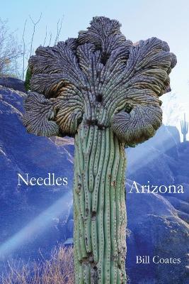 Needles Arizona - Bill Coates - cover