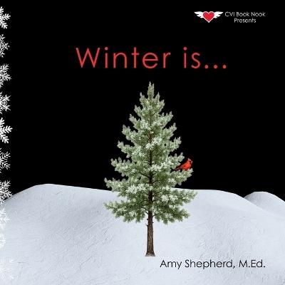 Winter is...: A Joyful Exploration of Winter Through Rhythm, Repetition, and Inclusive Design - M Ed Amy Shepherd - cover
