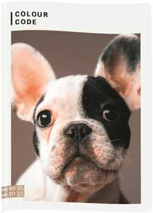 Cartoleria Quaderno maxi A4 Colour Code Animals Snapshot. Quadretti piccoli 4 mm Seven