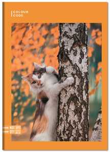 Cartoleria Quaderno standard 1 rigo. Copertina con foto animali. Colour Code - formato A5 15 x 21 cm Colour Code