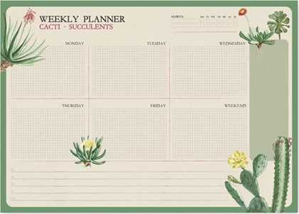 Cartoleria Bloc Planner Settimanale A4 Botanical Cacti Inglese Kokonote Kokonote